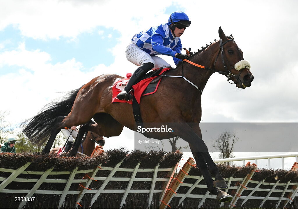 1 May 2024; Napper Tandy, with James Smith up, during the Adare Manor Opportunity Series Final Handicap Hurdle during day two of the Punchestown Festival at Punchestown Racecourse in Kildare. Photo by Seb Daly/Sportsfile