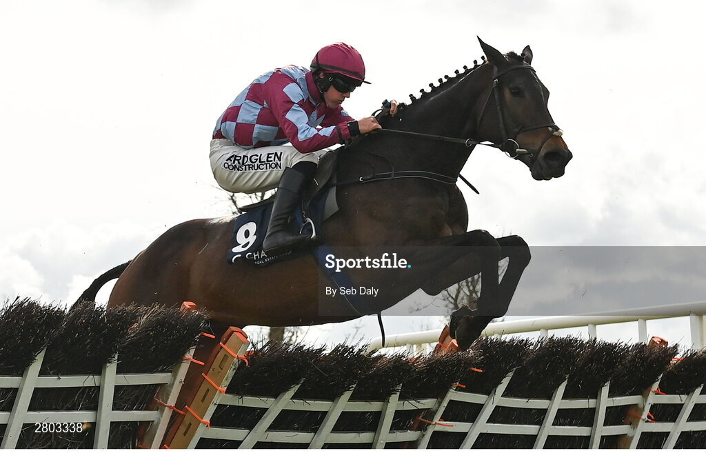 1 May 2024; Cuta Des As, with Brian Hayes up, during the Channor Real Estate Group Novice Hurdle during day two of the Punchestown Festival at Punchestown Racecourse in Kildare. Photo by Seb Daly/Sportsfile