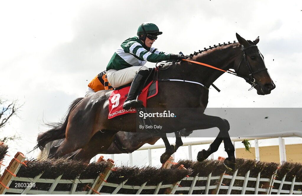 1 May 2024; Heliko Conti, with Carl Millar up, during the Adare Manor Opportunity Series Final Handicap Hurdle during day two of the Punchestown Festival at Punchestown Racecourse in Kildare. Photo by Seb Daly/Sportsfile