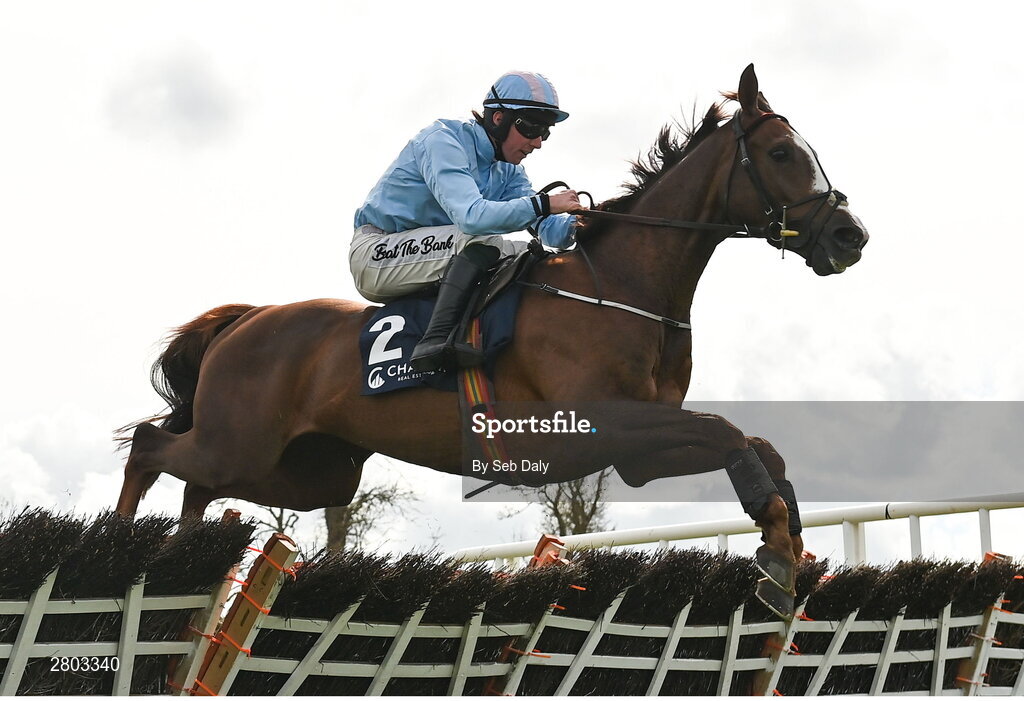 1 May 2024; Backmersackme, with Donagh Meyler up, during the Channor Real Estate Group Novice Hurdle during day two of the Punchestown Festival at Punchestown Racecourse in Kildare. Photo by Seb Daly/Sportsfile