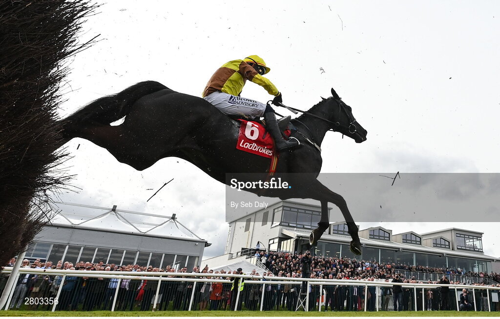 1 May 2024; Galopin Des Champs, with Paul Townend up, jumps the last during the Ladbrokes Punchestown Gold Cup during day two of the Punchestown Festival at Punchestown Racecourse in Kildare. Photo by Seb Daly/Sportsfile