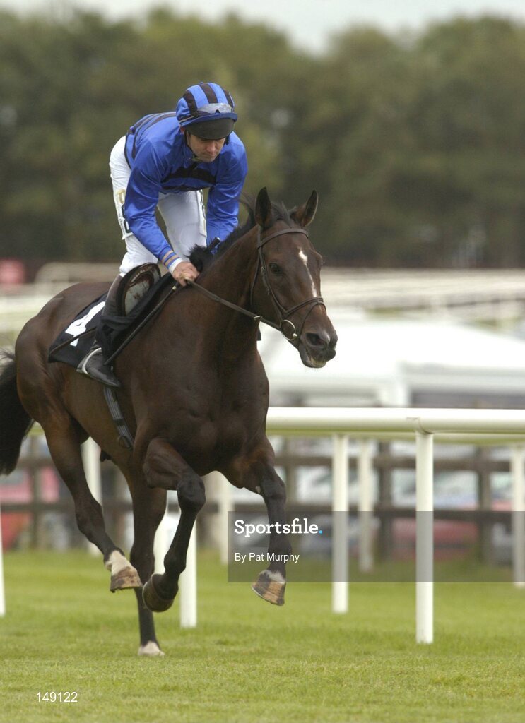 28 July 2004; Silent Native with Conor O'Dwyer up, canters to the start for the HP Imaging & Digital Printing Handicap Hurdle. Galway Races, Ballybrit, Co. Galway. Picture credit; Pat Murphy / SPORTSFILE