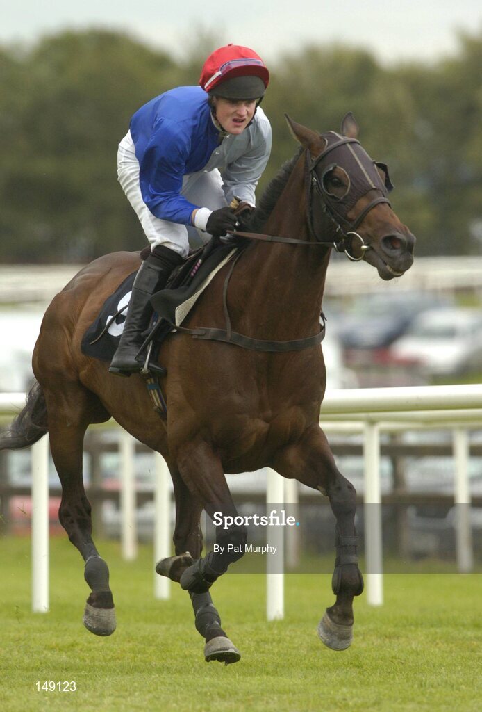 28 July 2004; Sharp Act with Joseph Elliott up, canters to the start for the HP Imaging & Digital Printing Handicap Hurdle. Galway Races, Ballybrit, Co. Galway. Picture credit; Pat Murphy / SPORTSFILE