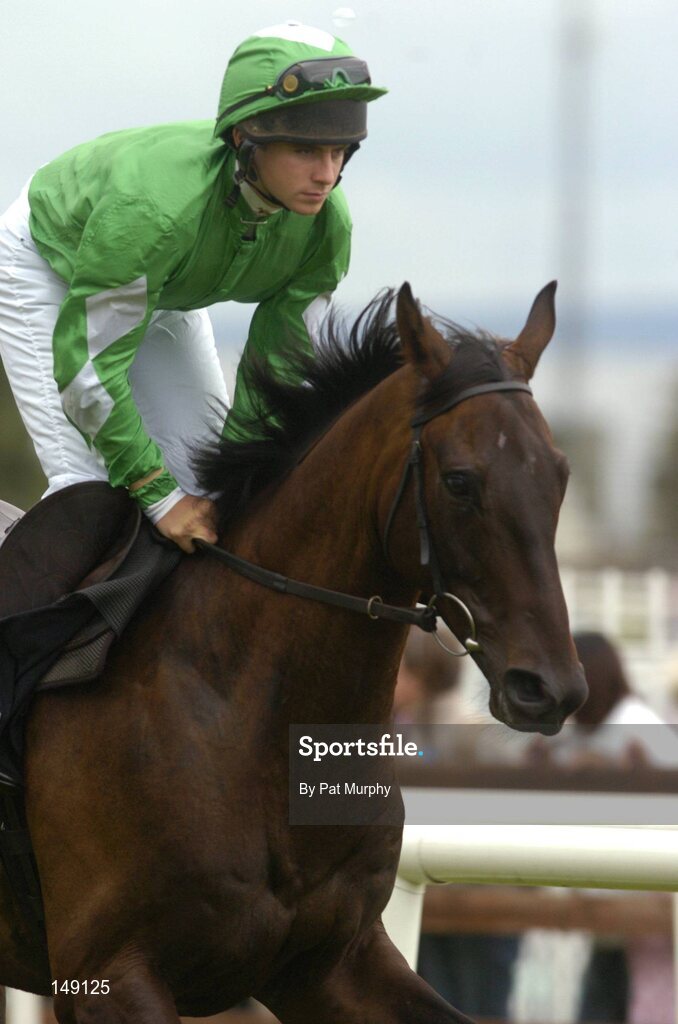 28 July 2004; Galtee View, with Alan Crowe up, canters to the start for the HP Imaging & Digital Printing Handicap Hurdle. Galway Races, Ballybrit, Co. Galway. Picture credit; Pat Murphy / SPORTSFILE
