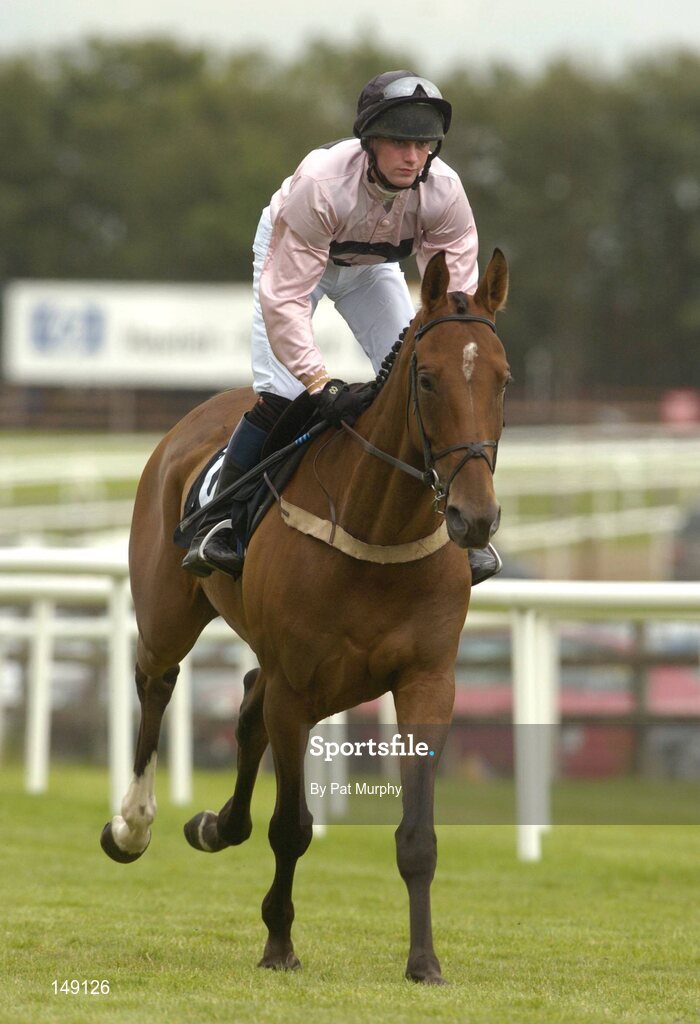 28 July 2004; Ursumman, with Niall Madden up, canters to the start for the HP Imaging & Digital Printing Handicap Hurdle. Galway Races, Ballybrit, Co. Galway. Picture credit; Pat Murphy / SPORTSFILE