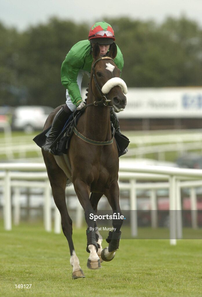 28 July 2004; Polly's Joy, with Denis O'Regan up, clear the last on the way to winning the HP Imaging & Digital Printing Handicap Hurdle. Galway Races, Ballybrit, Co. Galway. Picture credit; Pat Murphy / SPORTSFILE