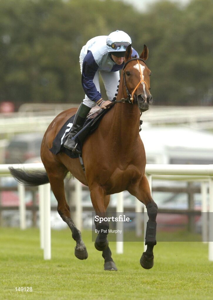 28 July 2004; Sharp Act, with Joseph Elliot, canters to the start for the HP Imaging & Digital Printing Handicap Hurdle. Galway Races, Ballybrit, Co. Galway. Picture credit; Pat Murphy / SPORTSFILE