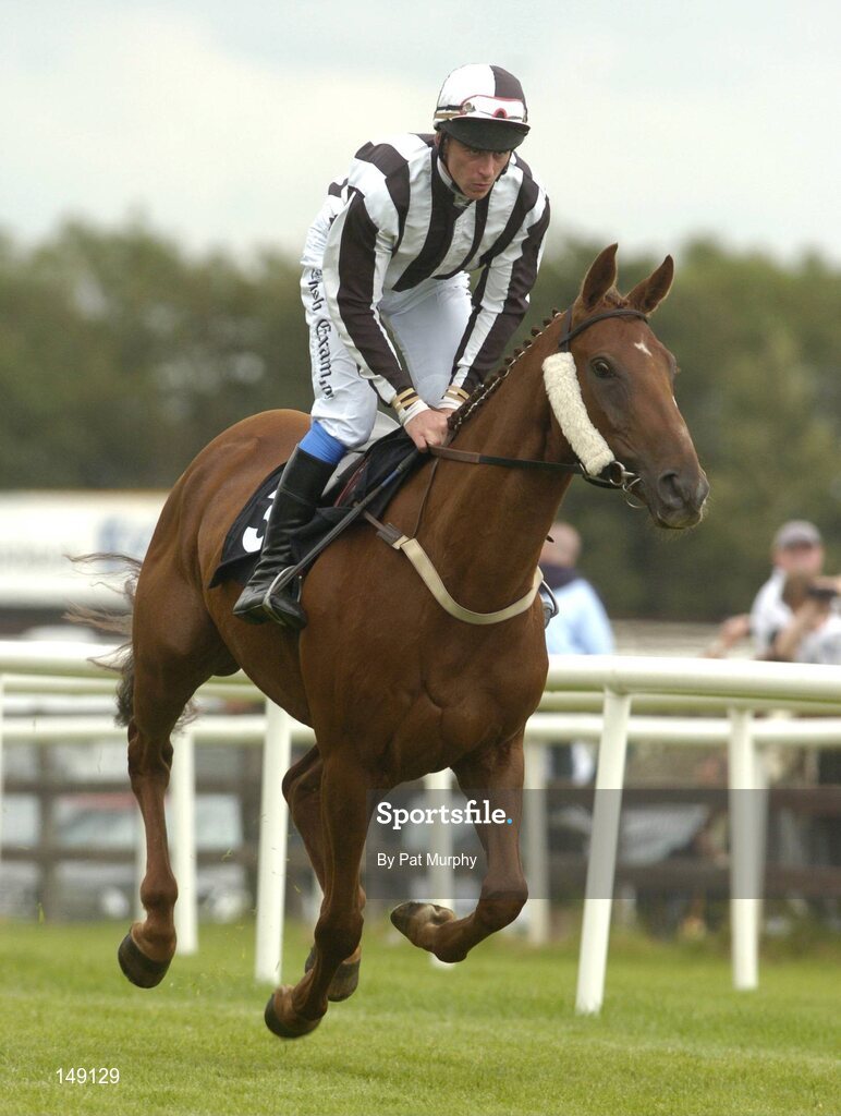 28 July 2004; Cloudy Bays, with Davy Russell up, canters to the start for the HP Imaging & Digital Printing Handicap Hurdle. Galway Races, Ballybrit, Co. Galway. Picture credit; Pat Murphy / SPORTSFILE