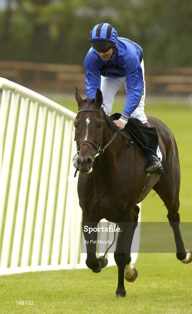 28 July 2004; Silent Native, with Conor O'Dwyer up. The HP Imaging & Digital Printing Handicap Hurdle. Galway Races, Ballybrit, Co. Galway. Picture credit; Pat Murphy / SPORTSFILE