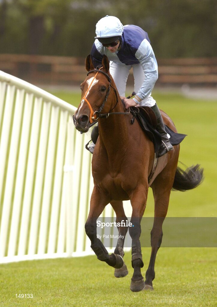 28 July 2004; Swift Spirit, with David Casey up. The HP Imaging & Digital Printing Handicap Hurdle. Galway Races, Ballybrit, Co. Galway. Picture credit; Pat Murphy / SPORTSFILE