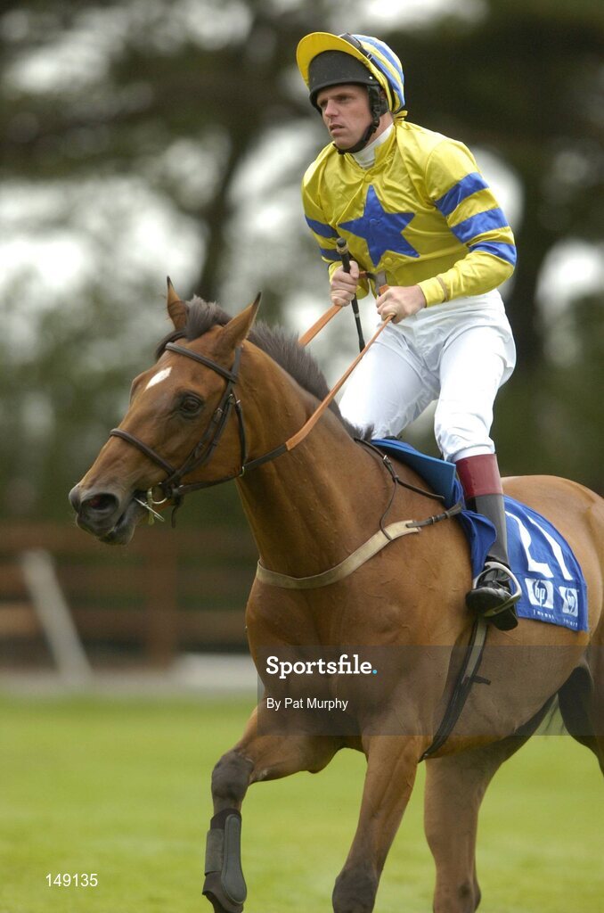 28 July 2004; Price Of Pleasure, with Barry Cash up, canters to the start of the HP Galway Plate. Galway Races, Ballybrit, Co. Galway. Picture credit; Pat Murphy / SPORTSFILE