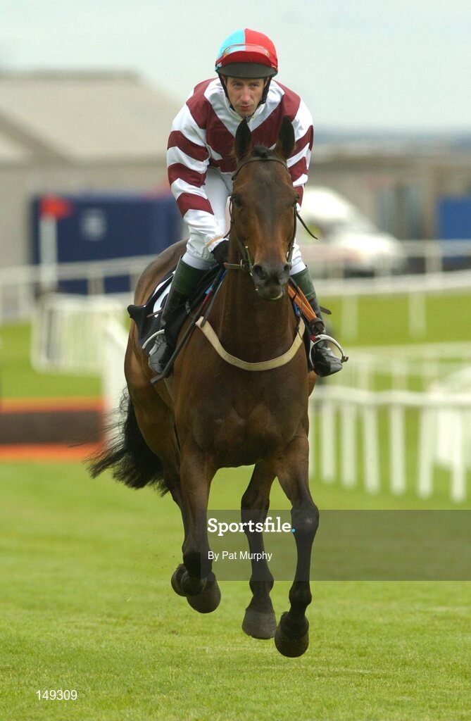28 July 2004; Gatso, with Jim Culloty up, canters to the start for the HP Imaging & Digital Printing Handicap Hurdle. Galway Races, Ballybrit, Co. Galway. Picture credit; Pat Murphy / SPORTSFILE