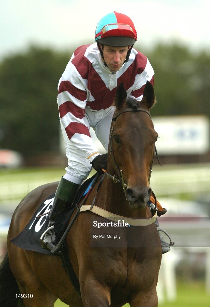 28 July 2004; Gatso, with Jim Culloty up, canters to the start for the HP Imaging & Digital Printing Handicap Hurdle. Galway Races, Ballybrit, Co. Galway. Picture credit; Pat Murphy / SPORTSFILE