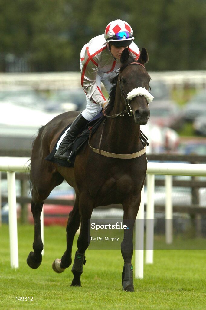 28 July 2004; Santa's Girl, with Robert Colgan up, canters to the start for the HP Imaging & Digital Printing Handicap Hurdle. Galway Races, Ballybrit, Co. Galway. Picture credit; Pat Murphy / SPORTSFILE