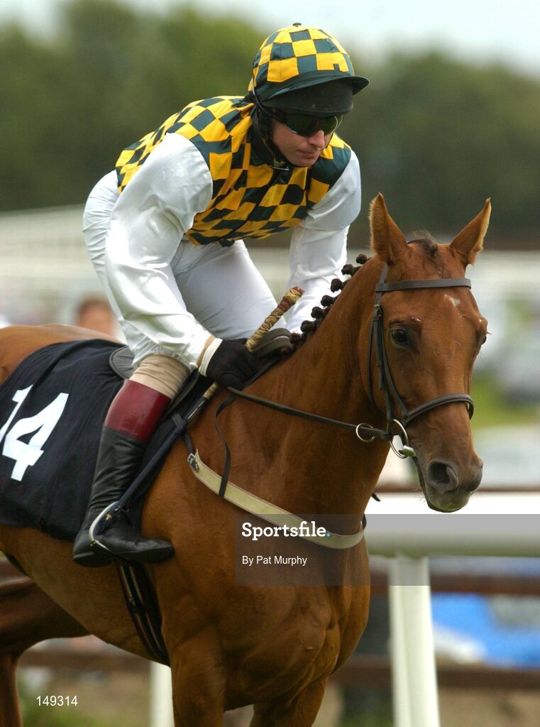 28 July 2004; Allaboveboard, with Thomas Treacy up, canters to the start for the HP Imaging & Digital Printing Handicap Hurdle. Galway Races, Ballybrit, Co. Galway. Picture credit; Pat Murphy / SPORTSFILE