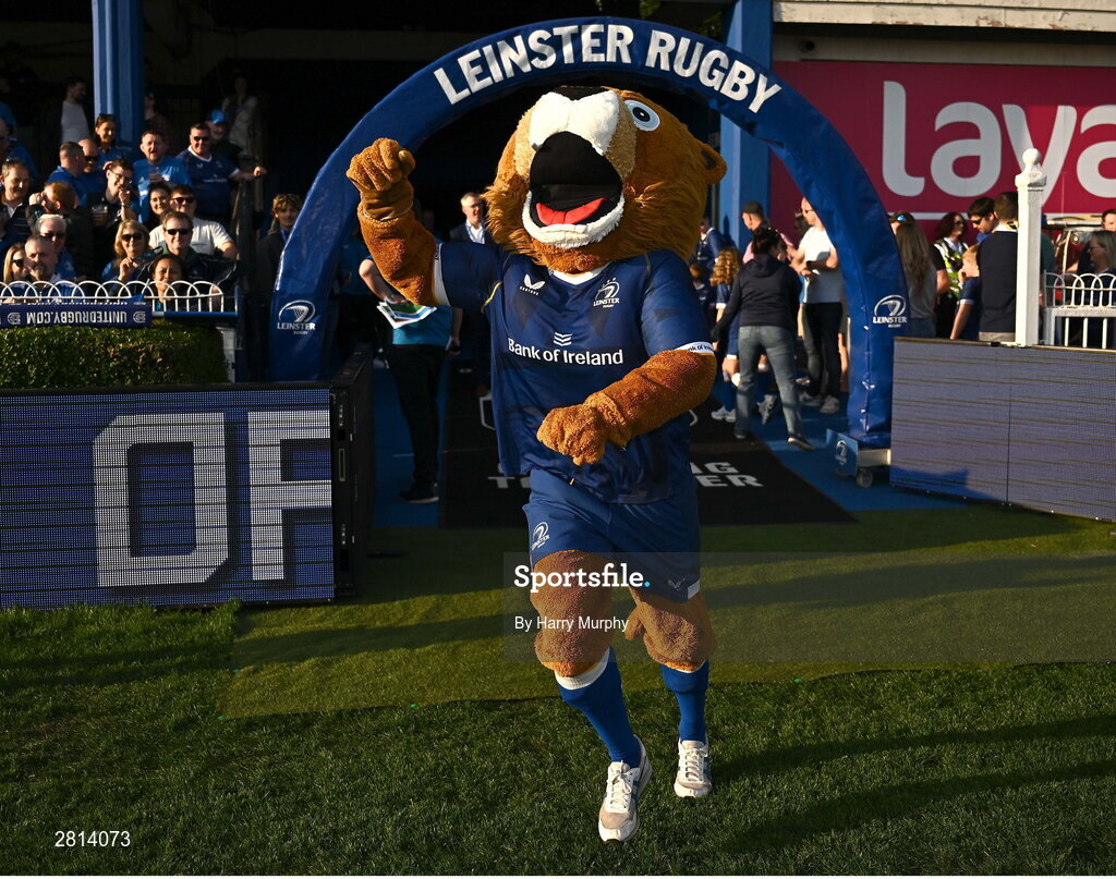 11 May 2024; Leo the Lion before the United Rugby Championship match between Leinster and Ospreys at the RDS Arena in Dublin. Photo by Harry Murphy/Sportsfile