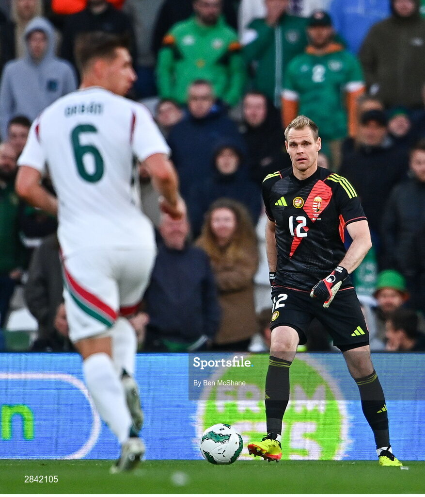 4 June 2024; Dénes Dibusz of Hungary during the international friendly match between Republic of Ireland and Hungary at Aviva Stadium in Dublin. Photo by Ben McShane/Sportsfile