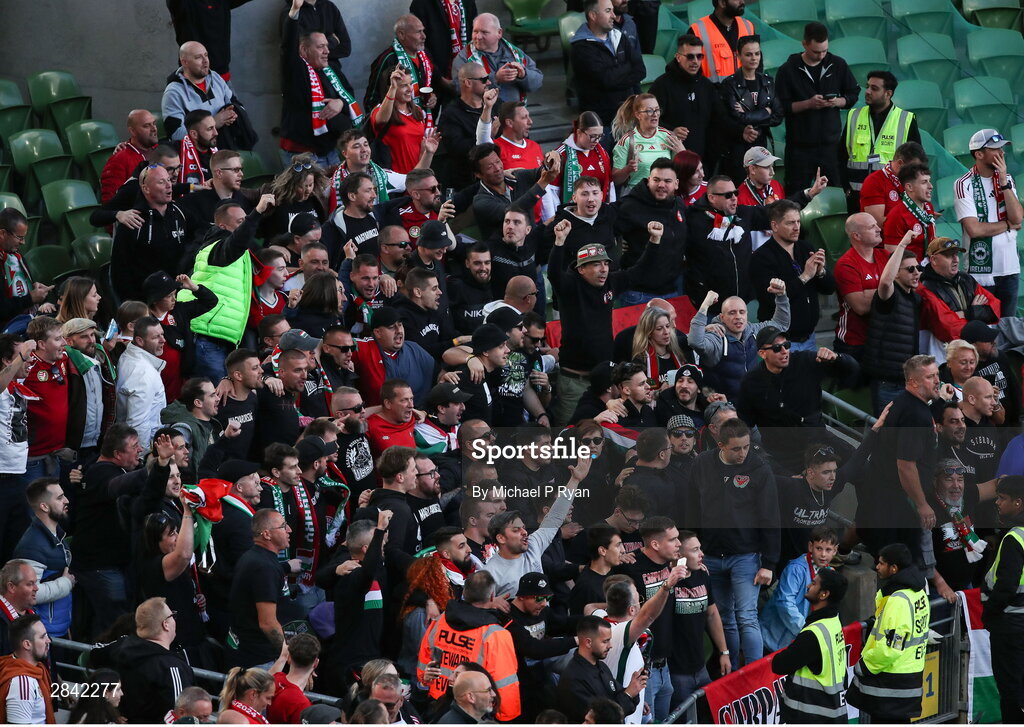 4 June 2024; Hungary supporters during the international friendly match between Republic of Ireland and Hungary at Aviva Stadium in Dublin. Photo by Michael P Ryan/Sportsfile