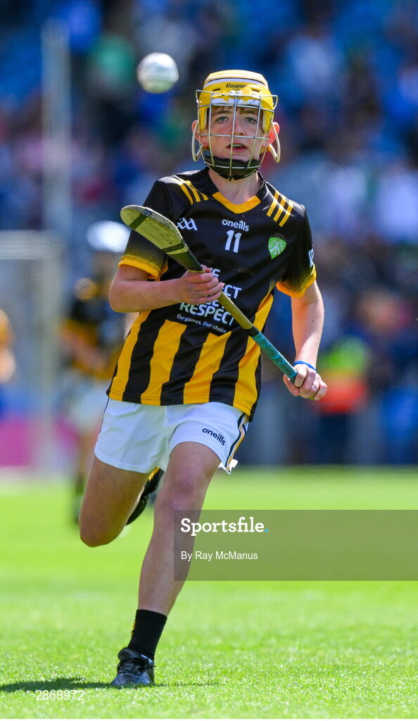 6 July 2024; Harry Brennan, St Aidan's NS, Kilmanagh, Kilkenny, representing Kilkenny during the GAA INTO Cumann na mBunscol Respect Exhibition Go Games at the GAA Hurling All-Ireland Senior Championship semi-final match between Kilkenny and Clare at Croke Park in Dublin. Photo by Ray McManus/Sportsfile