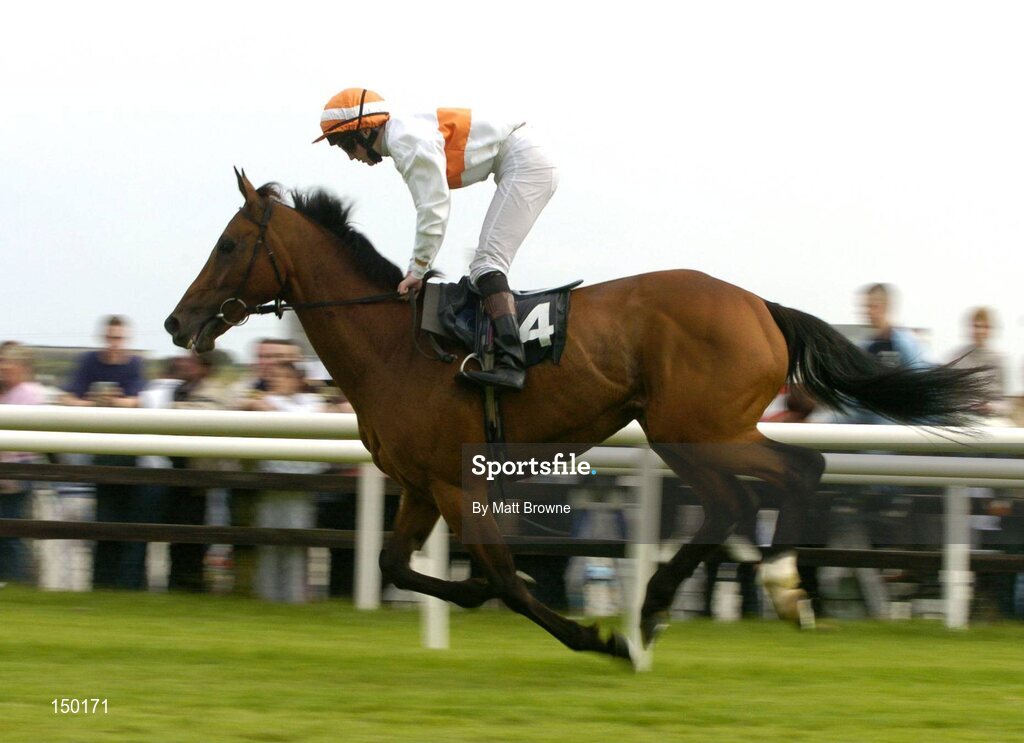 27 July 2004; Ballygowan Beauty, with William Lee up, during the McDonagh Builders Trade Centre Handicap. Galway Races, Ballybrit, Co. Galway. Picture credit; Matt Browne / SPORTSFILE