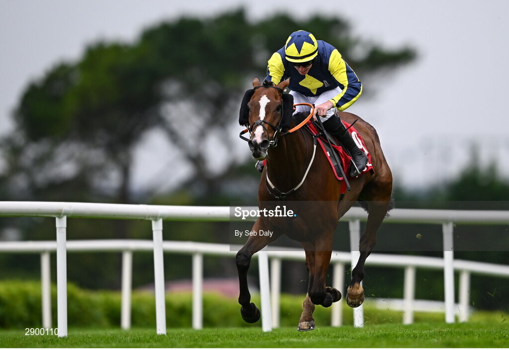 31 July 2024; Lightkeeper, with Jack Kennedy up, on their way to winning the Tote.ie Maiden Hurdle during day three of the Galway Races Summer Festival at Ballybrit Racecourse in Galway. Photo by Seb Daly/Sportsfile