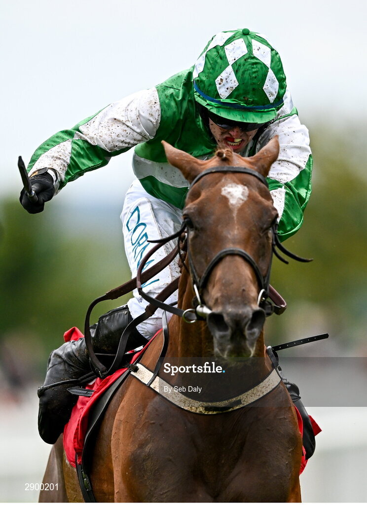 31 July 2024; Champella, with Darragh O'Keeffe up, on their way to winning the Tote Irish EBF Mares Handicap Hurdle during day three of the Galway Races Summer Festival at Ballybrit Racecourse in Galway. Photo by Seb Daly/Sportsfile