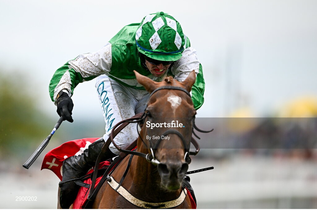 31 July 2024; Champella, with Darragh O'Keeffe up, on their way to winning the Tote Irish EBF Mares Handicap Hurdle during day three of the Galway Races Summer Festival at Ballybrit Racecourse in Galway. Photo by Seb Daly/Sportsfile