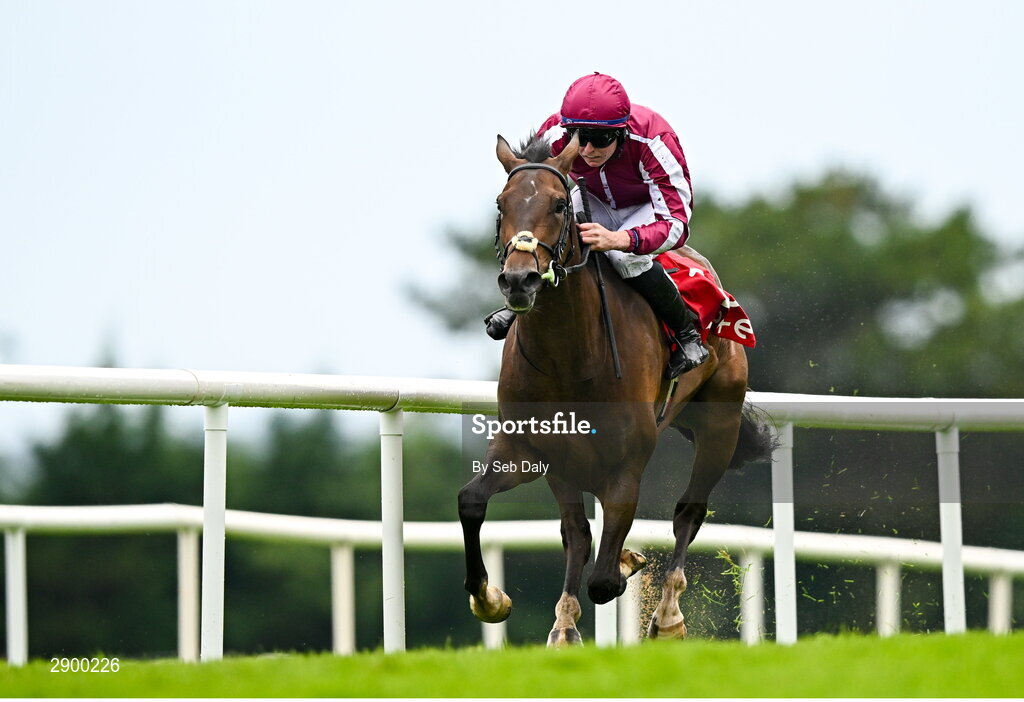 31 July 2024; Shoda, with Tom Hamilton up, on their way to winning the Tote App Maiden during day three of the Galway Races Summer Festival at Ballybrit Racecourse in Galway. Photo by Seb Daly/Sportsfile