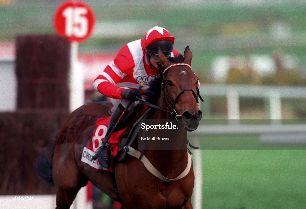 18 March 1998; Viking Flagship, with Adrian Maguire up, on their way to finishing fifth in the Queen Mother Champion Chase during day two of the Cheltenham Racing Festival at Prestbury Park in Cheltenham, England. Photo by Matt Browne/Sportsfile