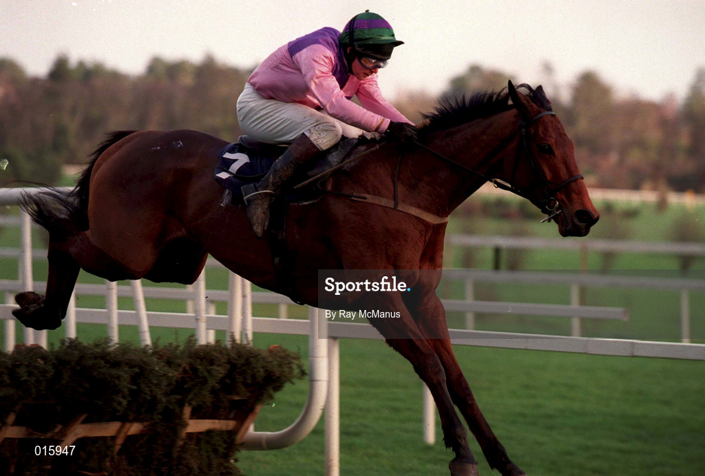 26 December 1998; Colonial Sunset with David Casey up, jump the last first time round on their way to winning the Kerry Spring Maiden Hurdle during the Leopardstown Christmas Festival Day One at Leopardstown Racecourse in Dublin. Photo by Ray McManus/Sportsfile