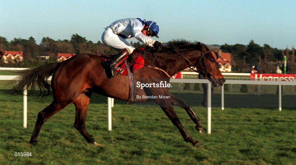 2 February 1997; Danoli, with Tommy Treacy up, on their way to winning The Champion Hurdle during Horse Racing from Leopardstown in Dublin. Photo by Brendan Moran/Sportsfile