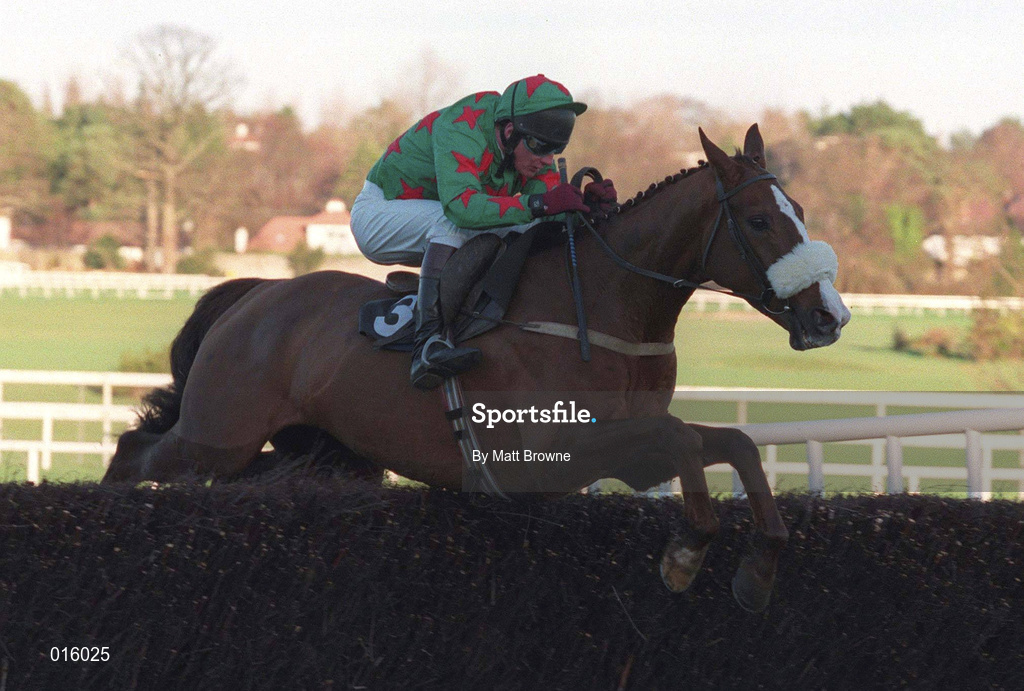 28 December 1998; Dorans Pride, with Paul Carberry up, clear the last on their way to winning the Ericsson Steeplechase during the Leopardstown Christmas Festival Day Three at Leopardstown Racecourse in Dublin. Photo by Matt Browne/Sportsfile