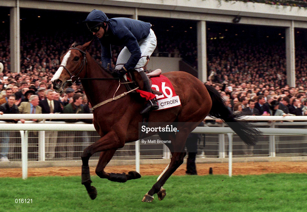 17 March 1998; French Ballerina, with Graham Bradley up, after winning the Citroen Supreme Novices Hurdle race during day one of the Cheltenham Racing Festival at Prestbury Park in Cheltenham, England. Photo by Matt Browne/Sportsfile