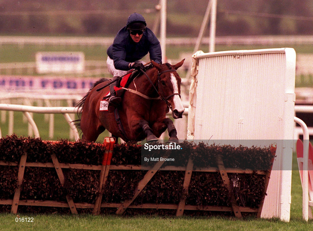 17 March 1998; French Ballerina, with Graham Bradley up, clear the last on their way to winning the Citroen Supreme Novices Hurdle race during day one of the Cheltenham Racing Festival at Prestbury Park in Cheltenham, England. Photo by Matt Browne/Sportsfile