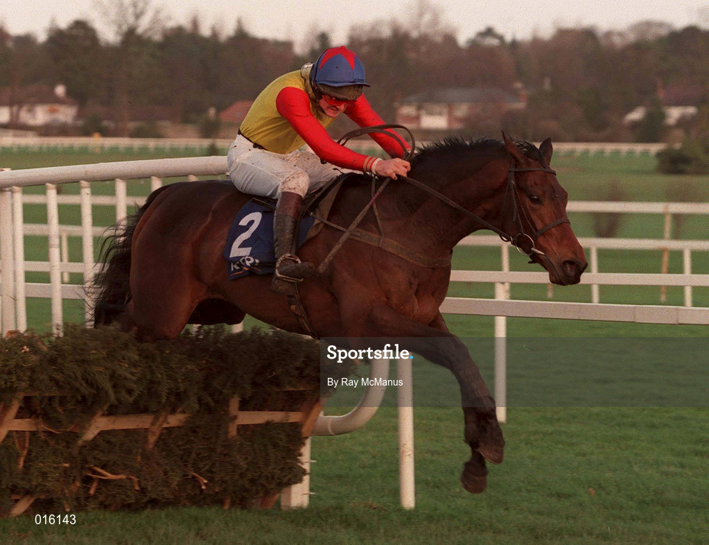 26 December 1998; Golden Rule, with Ruby Walsh up, jump the last in the Denny Juvenile Hurdle during the Leopardstown Christmas Festival Day One at Leopardstown Racecourse in Dublin. Photo by Ray McManus/Sportsfile