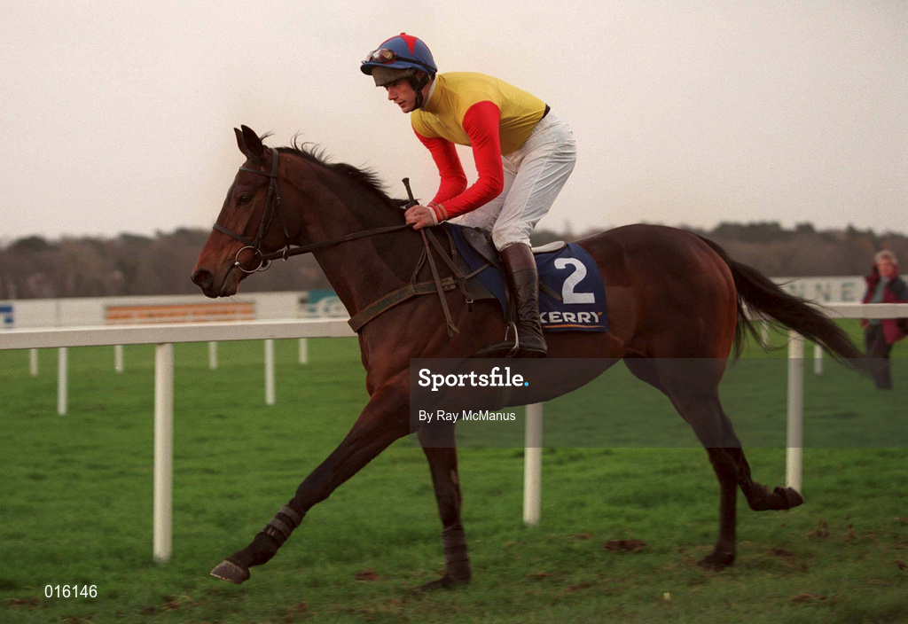 26 December 1998; Golden Rule, with Ruby Walsh up, during the Leopardstown Christmas Festival Day One at Leopardstown Racecourse in Dublin. Photo by Ray McManus/Sportsfile
