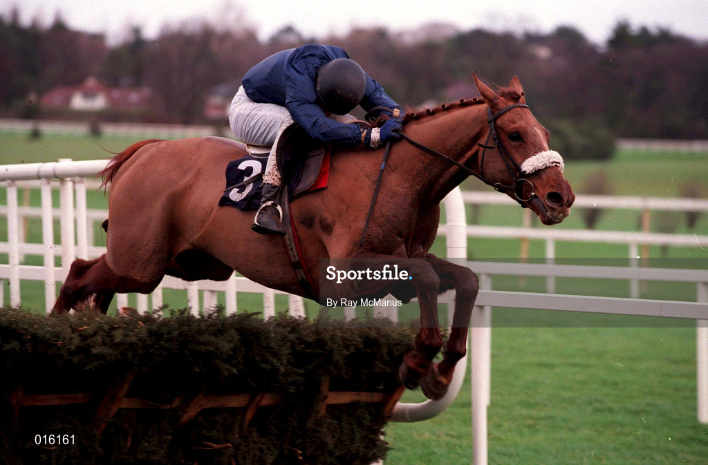 26 December 1998; Hang 'Em High, with Charlie Swan up, jump the last in the Kerry Maiden Hurdle during the Leopardstown Christmas Festival Day One at Leopardstown Racecourse in Dublin. Photo by Ray McManus/Sportsfile