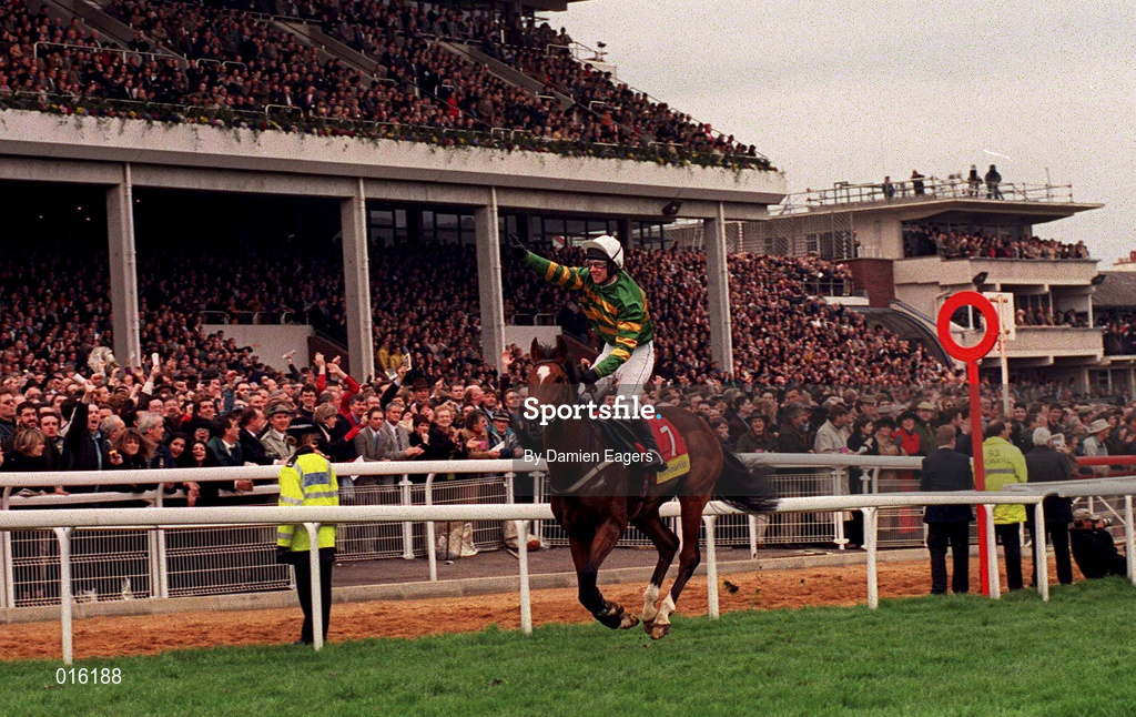 17 March 1998; Istabraq, with Charlie Swan up, celebrate after winning the Smurfit Champion Hurdle during day one of the Cheltenham Racing Festival at Prestbury Park in Cheltenham, England. Photo by Damien Eagers/Sportsfile
