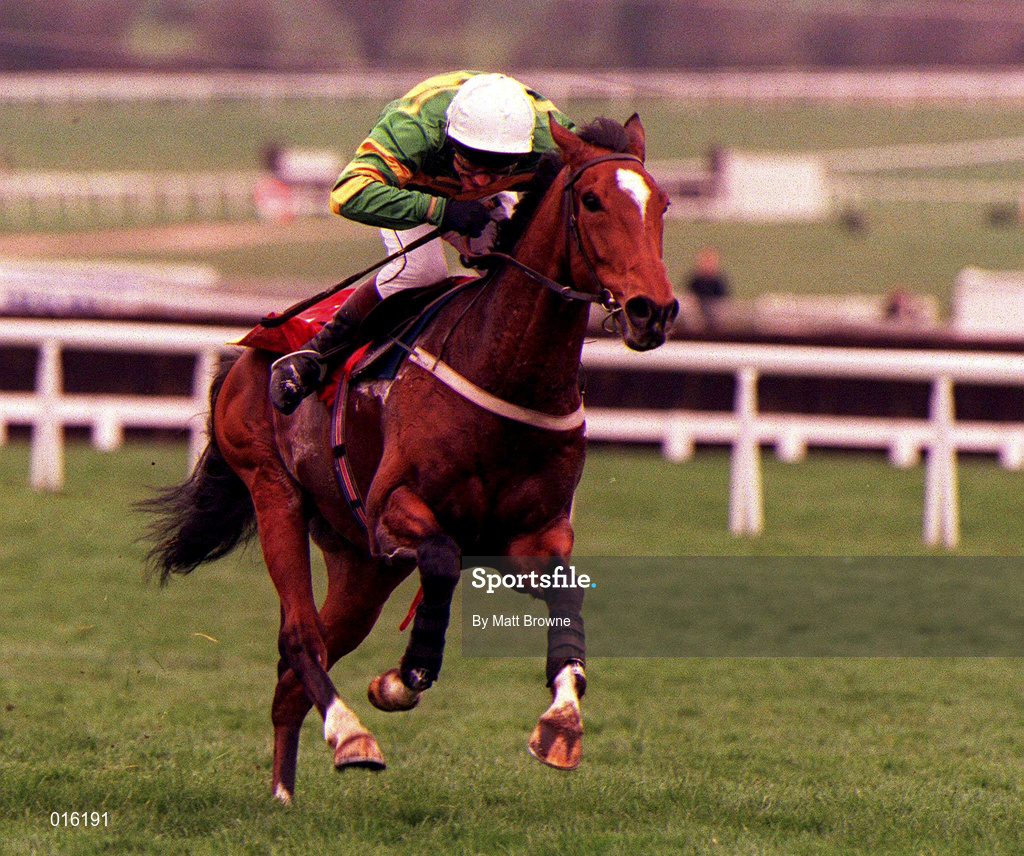 17 March 1998; Istabraq, with Charlie Swan up, on their way to winning the Smurfit Champion Hurdle during day one of the Cheltenham Racing Festival at Prestbury Park in Cheltenham, England. Photo by Matt Browne/Sportsfile