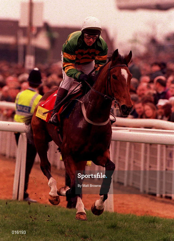 17 March 1998; Istabraq, with Charlie Swan up, going to post prior to the Smurfit Champion Hurdle Challenge Trophy race during day one of the Cheltenham Racing Festival at Prestbury Park in Cheltenham, England. Photo by Matt Browne/Sportsfile