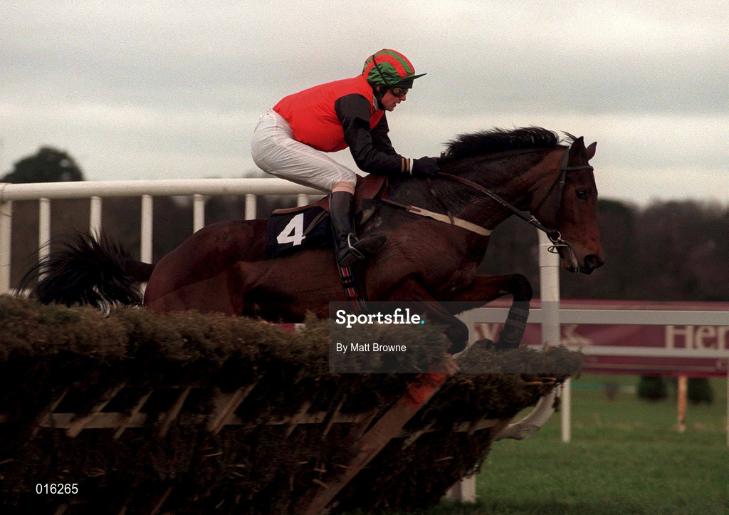 18 March 1998; Gaultier Gale, with John O'Brien up, during day two of the Cheltenham Racing Festival at Prestbury Park in Cheltenham, England. Photo by Matt Browne/Sportsfile