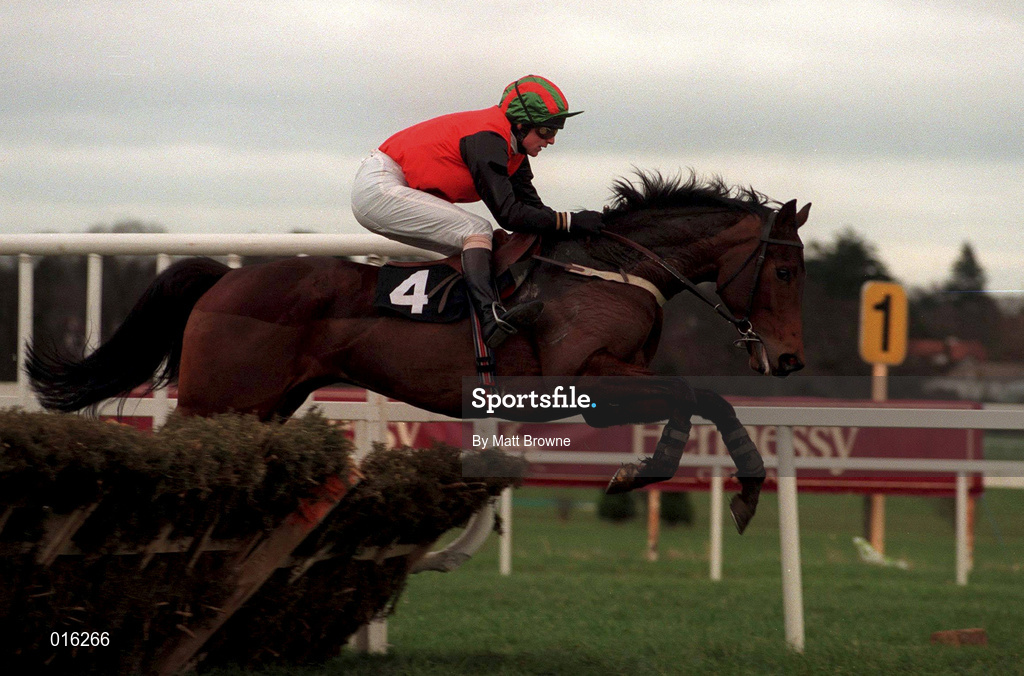 18 March 1998; Gaultier Gale, with John O'Brien up, during day two of the Cheltenham Racing Festival at Prestbury Park in Cheltenham, England. Photo by Matt Browne/Sportsfile