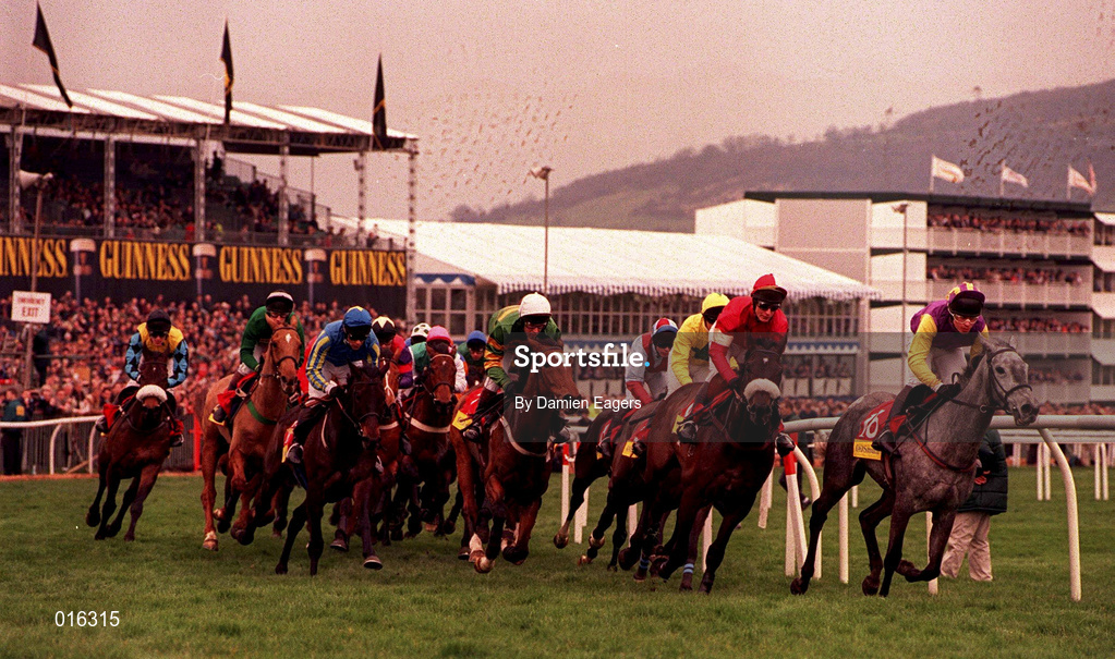17 March 1998; Lady Daisey, with Jason Titley up, leads the field during the Smurift Champion Hurdle Challenge Trophy race during day one of the Cheltenham Racing Festival at Prestbury Park in Cheltenham, England. Photo by Damien Eagers/Sportsfile