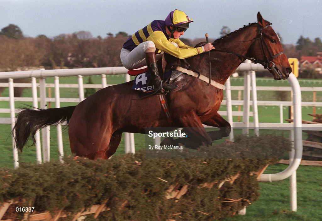 26 December 1998; Major Ballaby, with Francis Berry up, jump the last in the Denny Juvenile Hurdle during the Leopardstown Christmas Festival Day One at Leopardstown Racecourse in Dublin. Photo by Ray McManus/Sportsfile