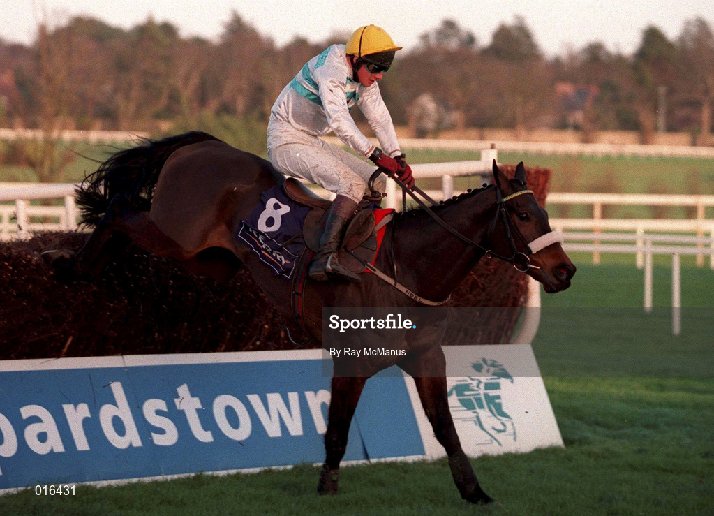 26 December 1998; Native Estates, with Paul Carberry up, jump the last on their way to finishing second in the Denny Gold Medal Novice Steeplechase during the Leopardstown Christmas Festival Day One at Leopardstown Racecourse in Dublin. Photo by Ray McManus/Sportsfile