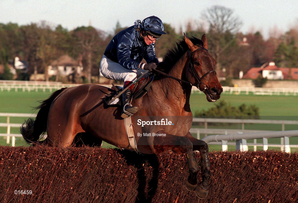 28 December 1998; Nick Dundee, with Norman Williamson up, clear the last in the Trio/Jackpot/Placepot race during the Leopardstown Christmas Festival Day Three at Leopardstown Racecourse in Dublin. Photo by Matt Browne/Sportsfile