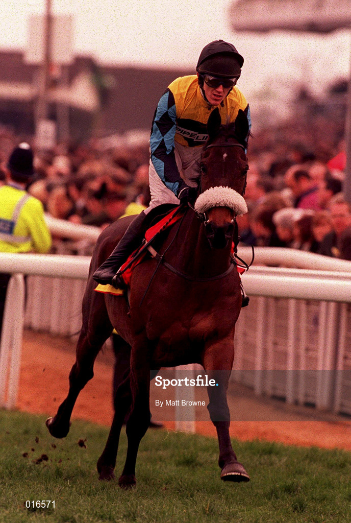 17 March 1998; Pridwell, with Tony McCoy up, going to post prior to the Smurfit Champion Hurdle Challenge Trophy race during day one of the Cheltenham Racing Festival at Prestbury Park in Cheltenham, England. Photo by Matt Browne/Sportsfile