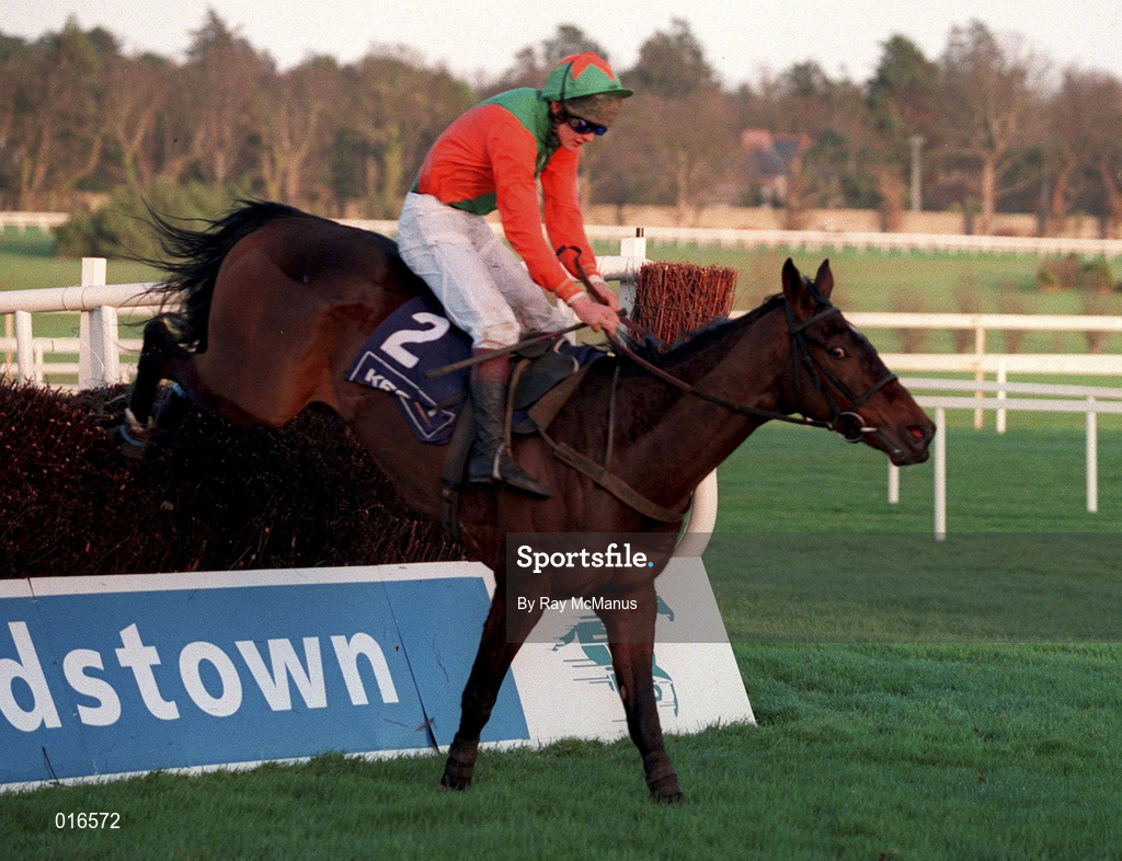 26 December 1998; Promalee, with Ruby Walsh up, jump the last in the Denny Gold Medal Novice Steeplechase during the Leopardstown Christmas Festival Day One at Leopardstown Racecourse in Dublin. Photo by Ray McManus/Sportsfile
