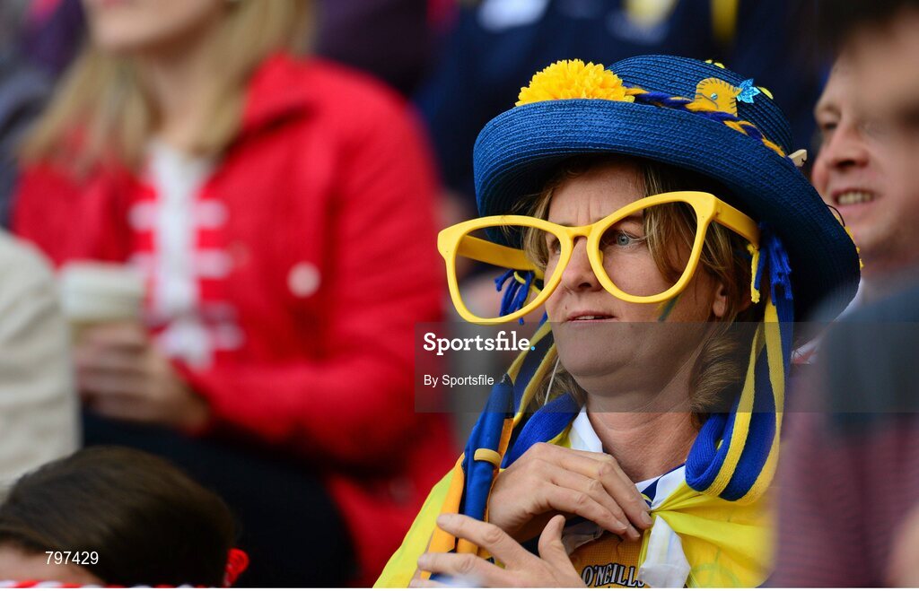 28 September 2013; A Clare supporter looks on before throw-in. GAA Hurling All-Ireland Senior Championship Final Replay, Cork v Clare, Croke Park, Dublin. Photo by Sportsfile