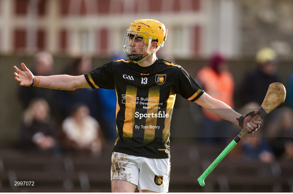 17 November 2024; David O'Reilly of Castletown Geoghegan during the AIB Leinster GAA Senior Club Hurling Championship quarter-final match between Castletown Geoghegan and Thomastown at TEG Cusack Park in Mullingar, Westmeath. Photo by Tom Beary/Sportsfile